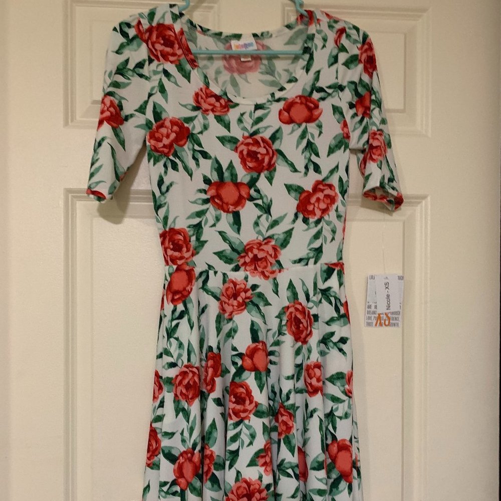 Nicole dress lularoe